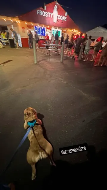 Long line at the Frosty Cone stand at night, a dog on a leash in front